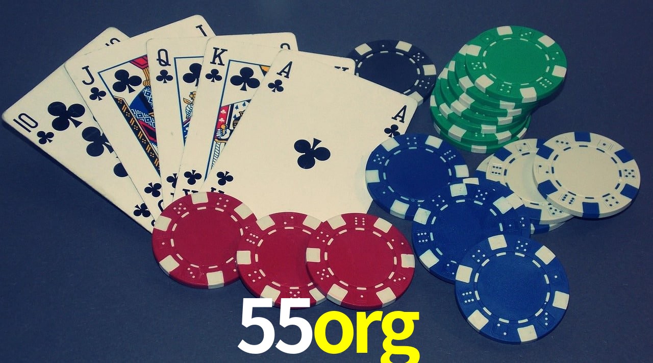 Experiência VIP 55org